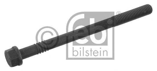 FEBI BILSTEIN 06229 Болт головки цилідра