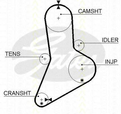 TRISCAN 86455038 Ремінь ГРМ