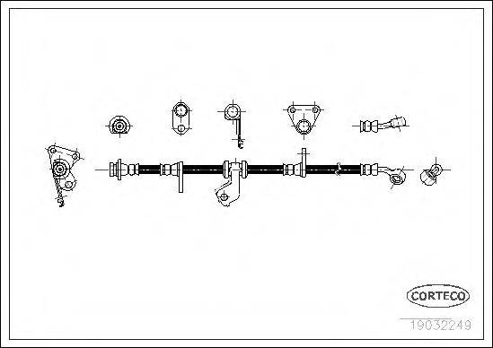 CORTECO 19032249 Гальмівний шланг
