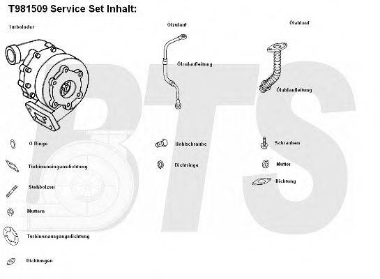 BTS TURBO T981509 Компресор наддув