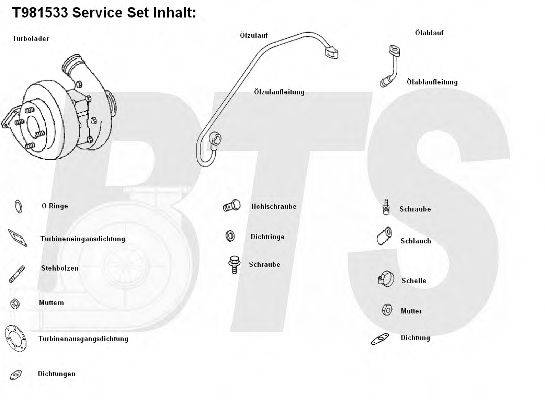 BTS TURBO T981533 Компресор наддув