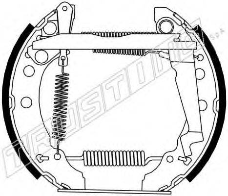 TRUSTING 6300 Комплект гальмівних колодок