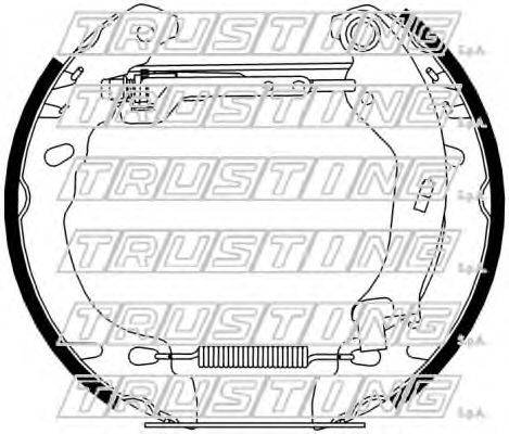 TRUSTING 6431 Комплект гальмівних колодок