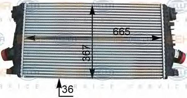 HELLA 8ML376777281 Інтеркулер