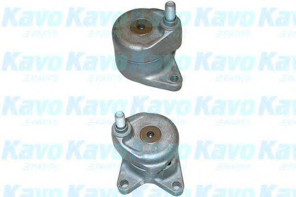 KAVO PARTS DTP7503 Натяжний ролик, полікліновий ремінь