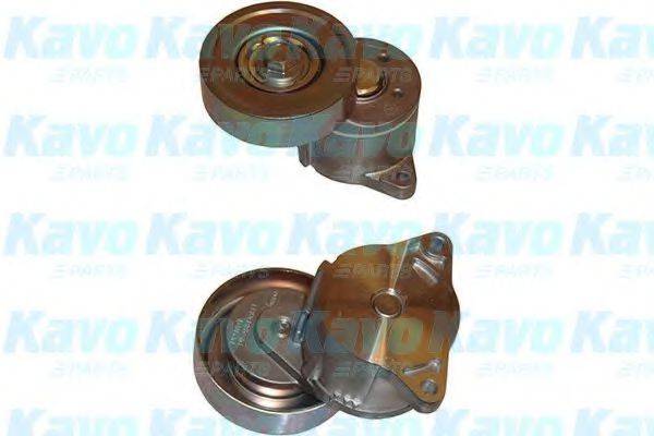 KAVO PARTS DTP4505 Натяжний ролик, полікліновий ремінь