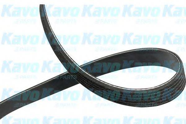 KAVO PARTS DMV3028 Полікліновий ремінь