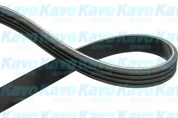 KAVO PARTS DMV1002 Полікліновий ремінь