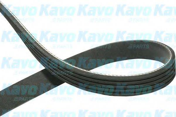 KAVO PARTS DMV1003 Полікліновий ремінь