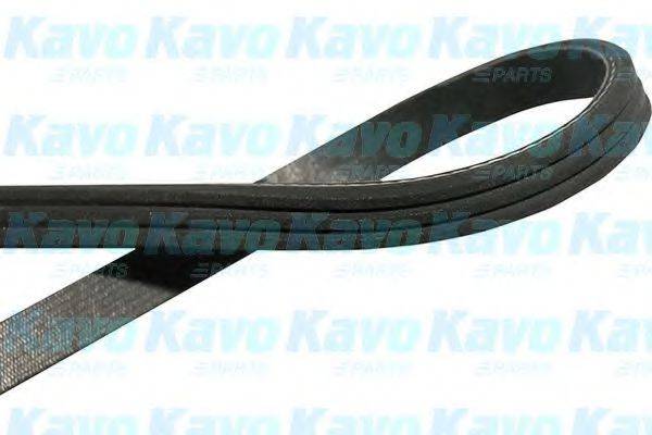 KAVO PARTS DMV1501 Полікліновий ремінь