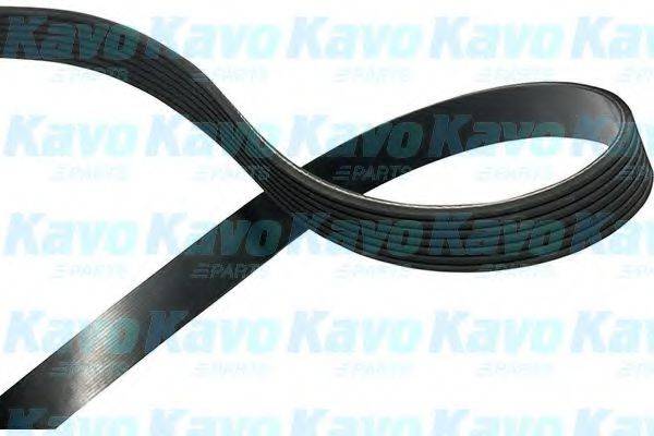 KAVO PARTS DMV8521 Полікліновий ремінь