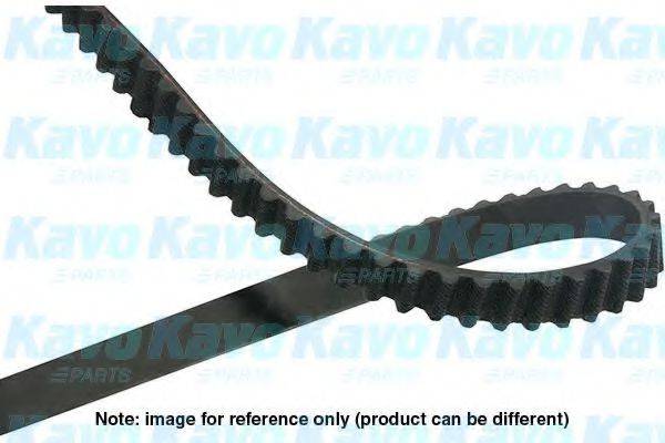 KAVO PARTS DTB8013 Ремінь ГРМ