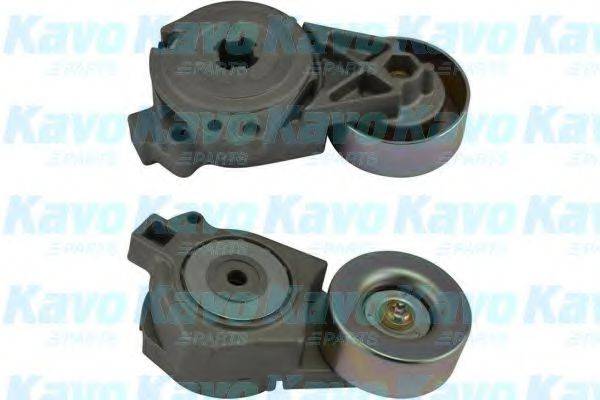 KAVO PARTS DTP5504 Натяжний ролик, полікліновий ремінь