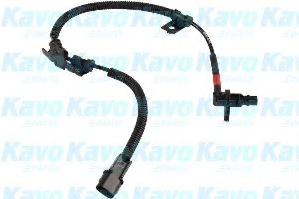 KAVO PARTS BAS3056 Датчик, частота обертання колеса