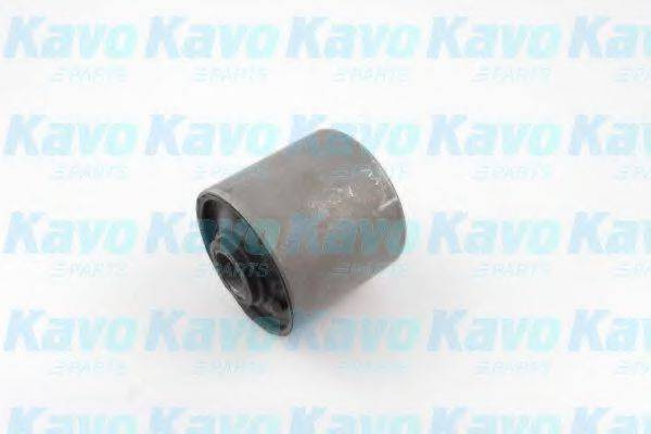 KAVO PARTS SCR5541 Підвіска, важіль незалежної підвіски колеса