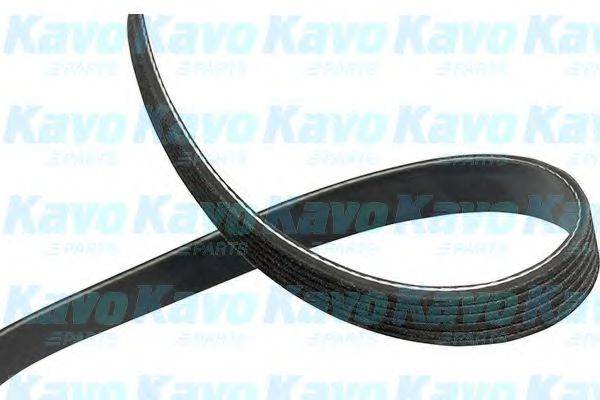 KAVO PARTS DMV1035 Полікліновий ремінь