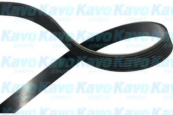 KAVO PARTS DMV4024 Полікліновий ремінь