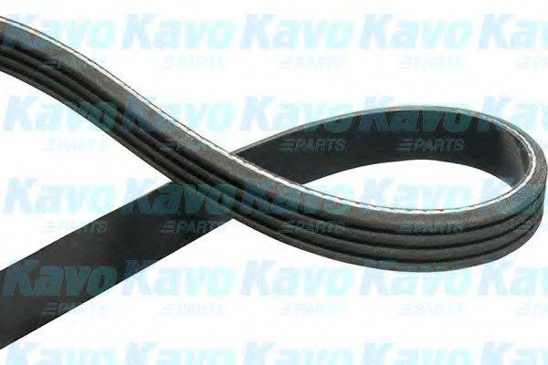 KAVO PARTS DMV6550 Полікліновий ремінь