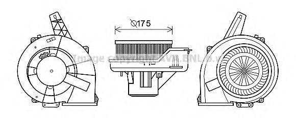 AVA QUALITY COOLING ST8045 Електродвигун, вентиляція салону