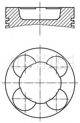 MAHLE ORIGINAL 0036500 Поршень