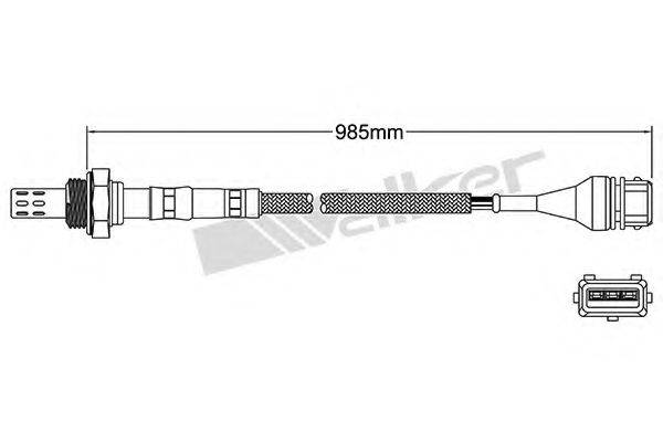 WALKER PRODUCTS 25023018 Лямбда-зонд