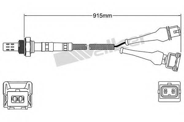 WALKER PRODUCTS 25024820 Лямбда-зонд