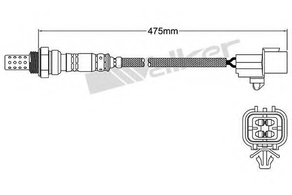 WALKER PRODUCTS 25024230 Лямбда-зонд