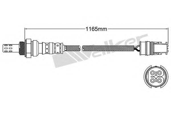 WALKER PRODUCTS 25024198 Лямбда-зонд