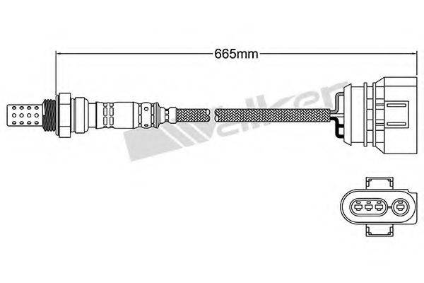 WALKER PRODUCTS 25024307 Лямбда-зонд