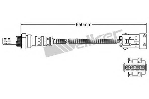 WALKER PRODUCTS 25024546 Лямбда-зонд