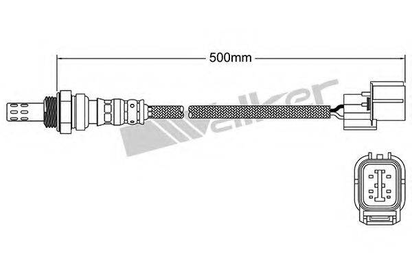 WALKER PRODUCTS 25024766 Лямбда-зонд