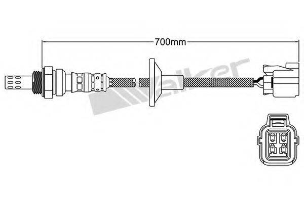 WALKER PRODUCTS 25024758 Лямбда-зонд