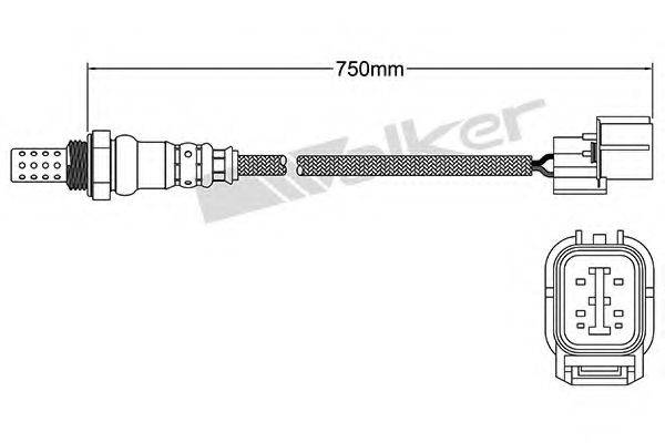 WALKER PRODUCTS 25024761 Лямбда-зонд