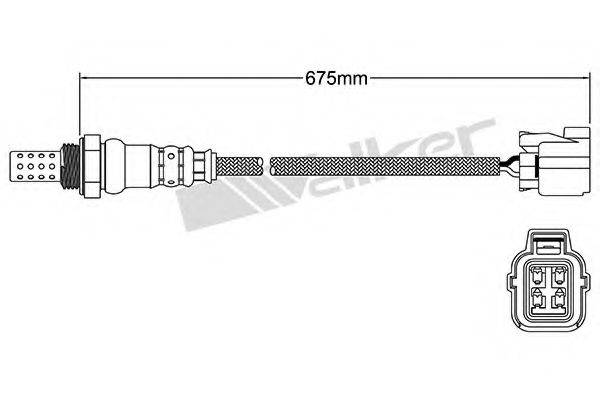 WALKER PRODUCTS 25024764 Лямбда-зонд