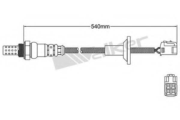 WALKER PRODUCTS 25024486 Лямбда-зонд