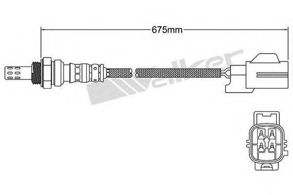 WALKER PRODUCTS 25024791 Лямбда-зонд