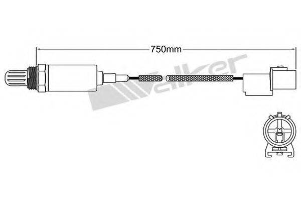 WALKER PRODUCTS 25021066 Лямбда-зонд