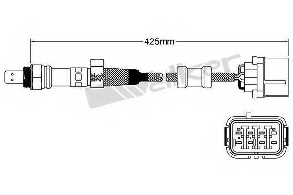 WALKER PRODUCTS 25025055 Лямбда-зонд