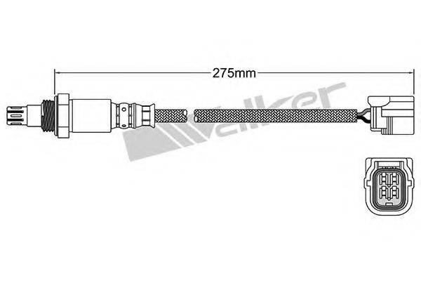 WALKER PRODUCTS 25054041 Лямбда-зонд