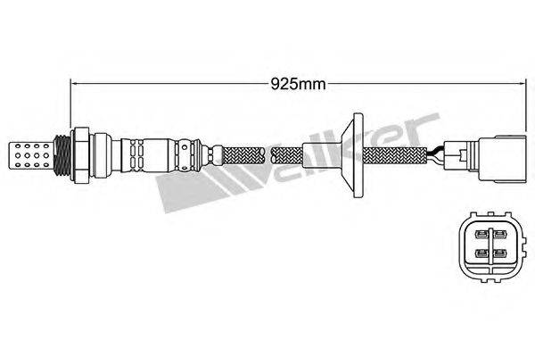 WALKER PRODUCTS 25024840 Лямбда-зонд