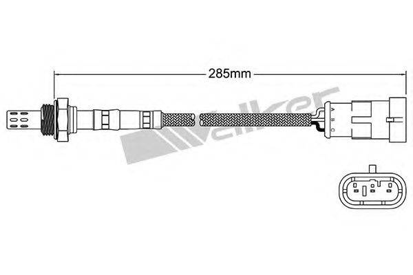 WALKER PRODUCTS 25023144 Лямбда-зонд