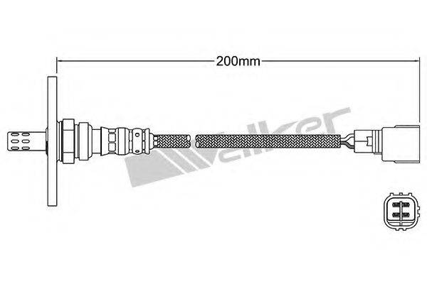 WALKER PRODUCTS 25024866 Лямбда-зонд