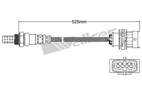 WALKER PRODUCTS 25024847 Лямбда-зонд