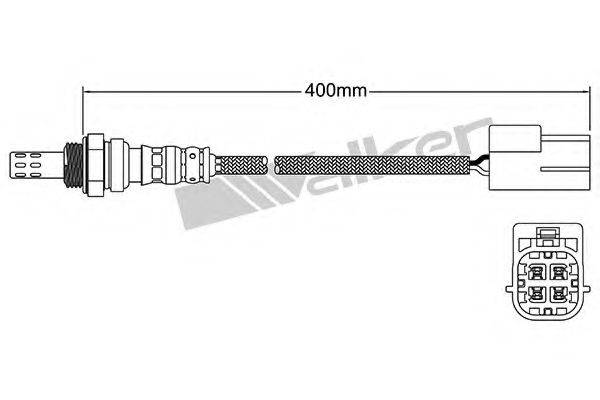 WALKER PRODUCTS 25024181 Лямбда-зонд