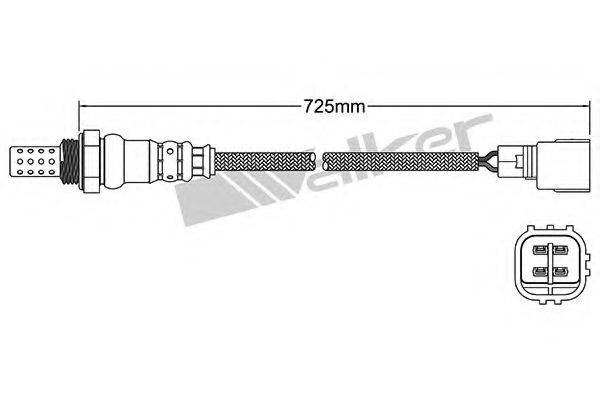 WALKER PRODUCTS 25024874 Лямбда-зонд