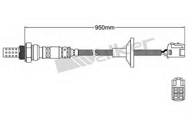 WALKER PRODUCTS 25024855 Лямбда-зонд