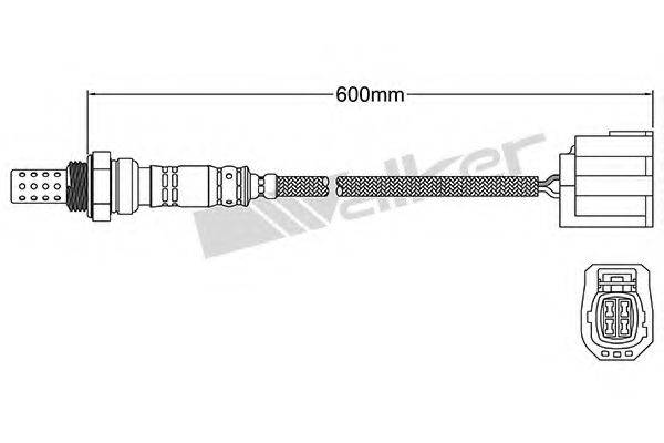 WALKER PRODUCTS 25024904 Лямбда-зонд