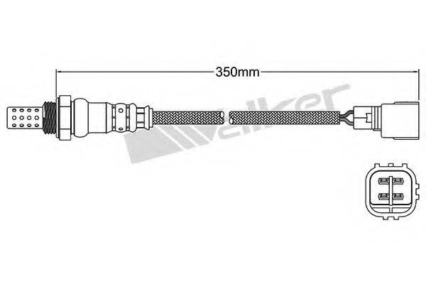 WALKER PRODUCTS 25024906 Лямбда-зонд