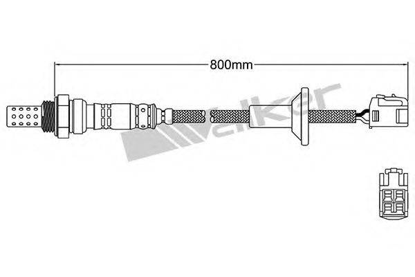 WALKER PRODUCTS 25024188 Лямбда-зонд