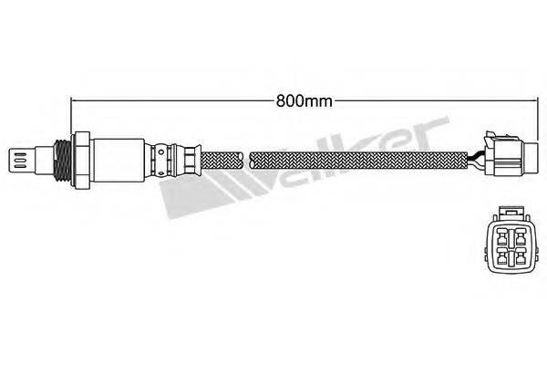 WALKER PRODUCTS 25054058 Лямбда-зонд